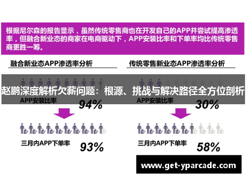 赵鹏深度解析欠薪问题：根源、挑战与解决路径全方位剖析